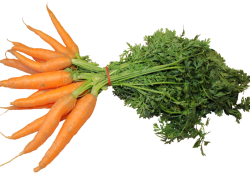 ein Bund Karotten
