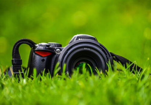 Eine Digitalkamera liegt in der Wiese