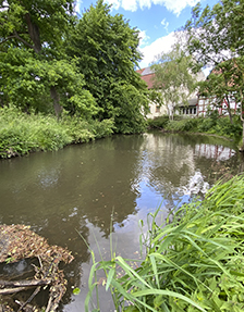 zur Dorfentwicklung Trais